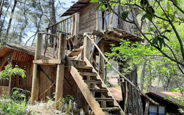 Altaris Bungalows Olympos
