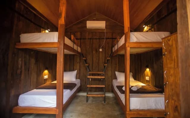 Funk Bunks - Sigiriya