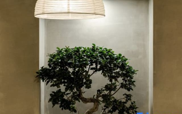 Yun Yinxuan Designer Homestay