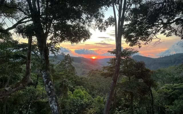 Monte y Alma Monteverde