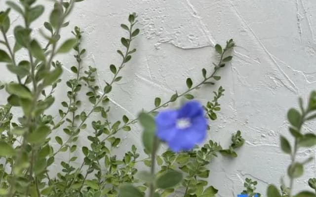 Zhaoqing Chidu Homestay