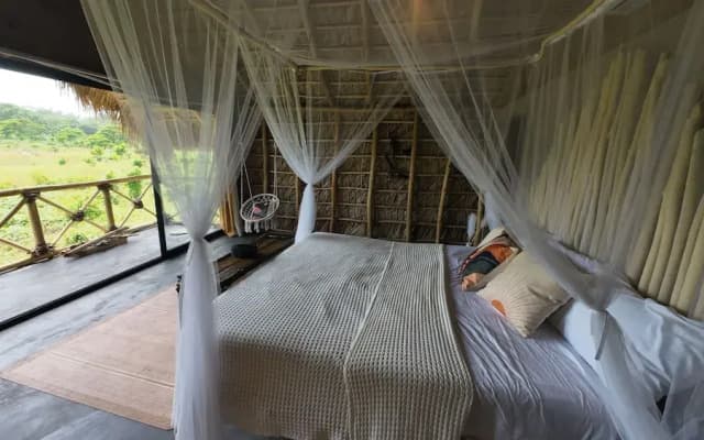 Dominican Jungle Resort