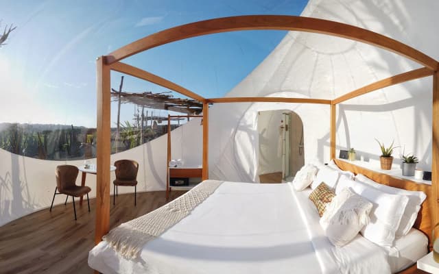 Green Land Bubble Glamping