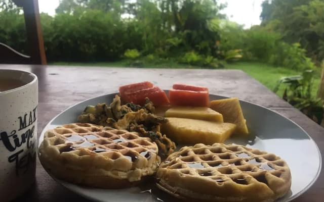Birds & Breakfast