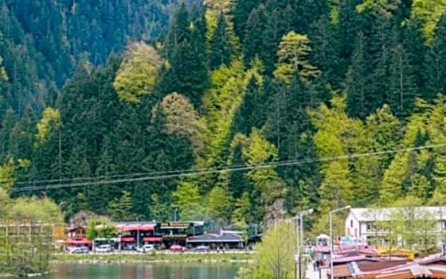 Uzungol Dear Otel