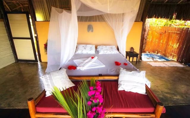Art Jungle Eco Lodge