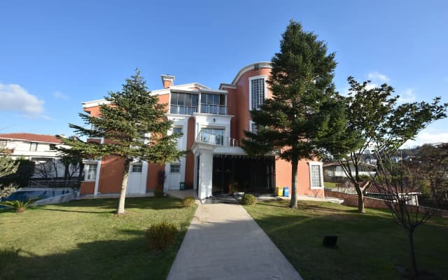 Treekos Suite