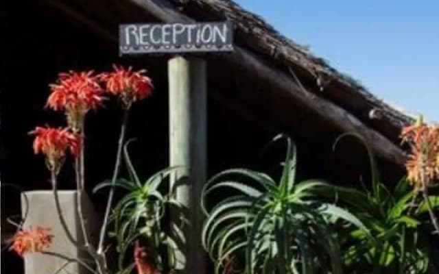 Swell Eco Lodge