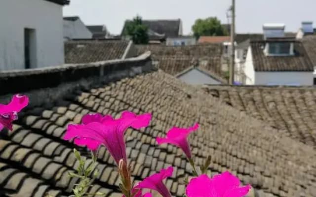 Duxinshe Homestay (Pingjiang Road Shop)(度心舍民宿(平江路店))