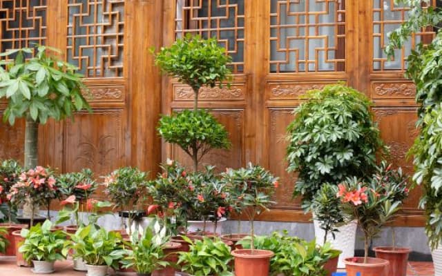 Fengyu Chenxi Hotel (Inside Fenghuang Ancient City)