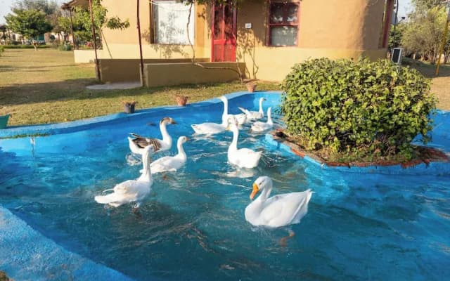 Arise Rustic Village Resort