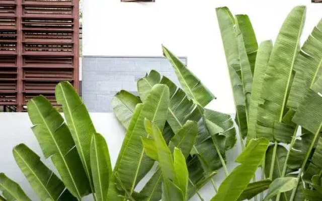 Sanya Mountain and Sea Resort Villa