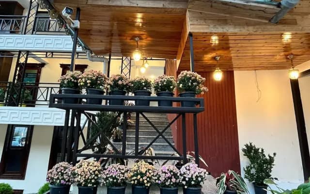 Cilantro Unwind Delisso Abode Pelling