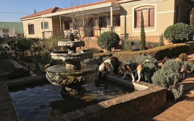 Clarens Butterfly Villa
