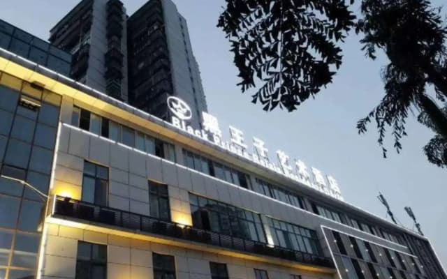 Black Prince Art Hotel (Luzhou Longmatan District Government Store)
