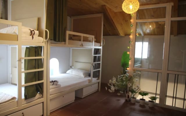 Hanoi EcoStay 1 hostel
