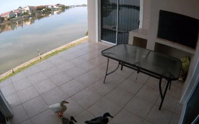 Sunbird-Admiral Island Holiday House