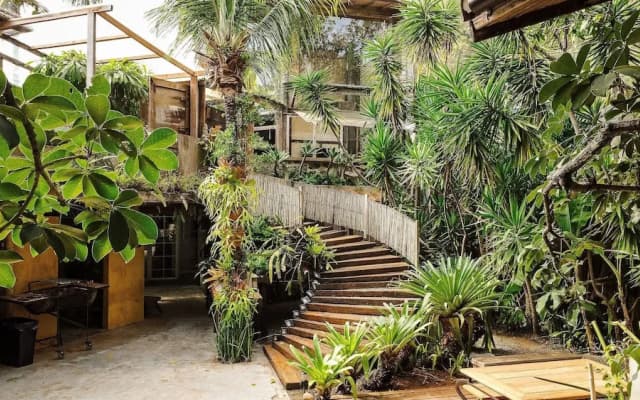 Ypê Greenhouse