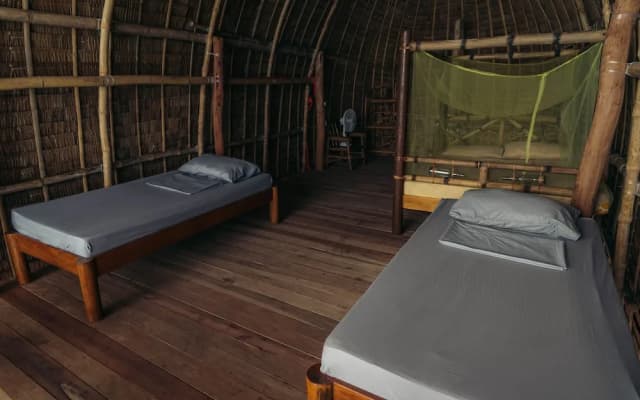 Isla - The Isla Experience