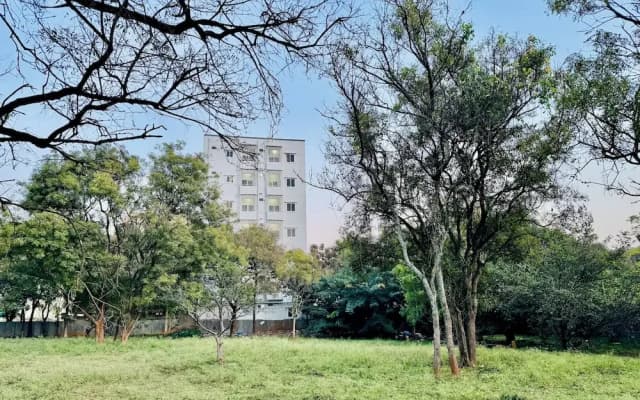 Truelife Whitefield