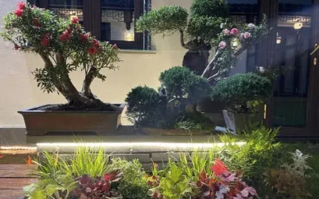 Jingning Qiqi B & B