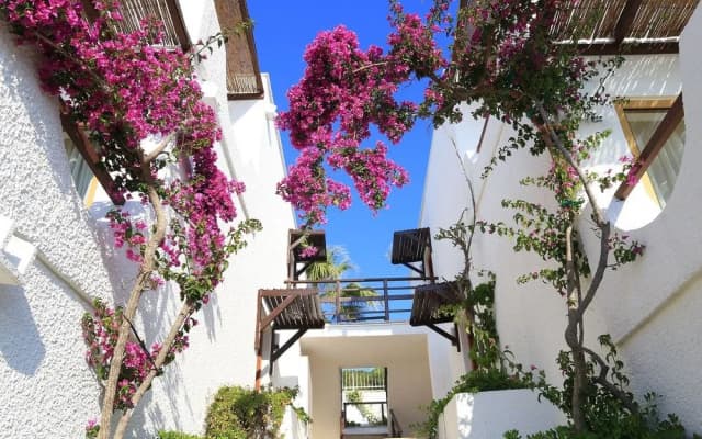 Ceshme Plus Hotel