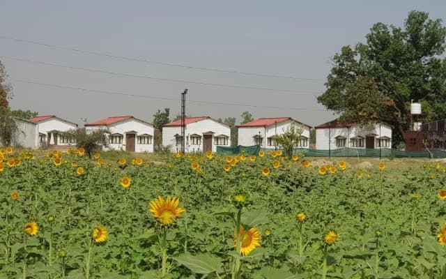 Living Green Farms