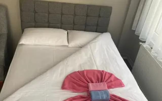 Otel Vidinli