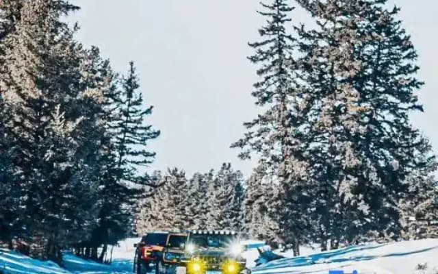 ChangBai Mountain Xiangye Qingqiu VillaCluster