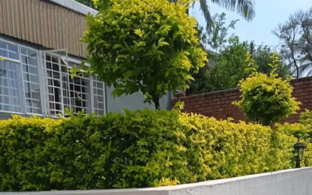 Kaste Guesthouse
