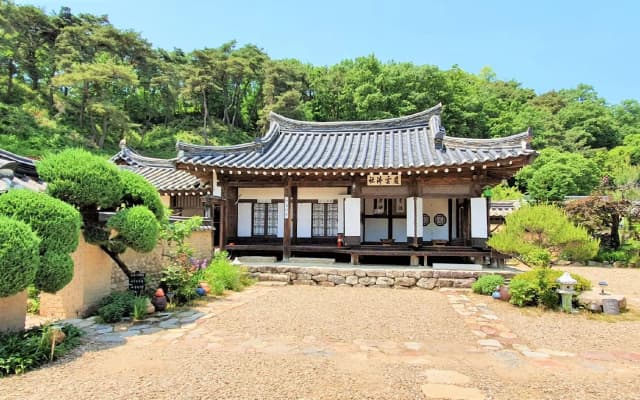 tohyanggotaeg