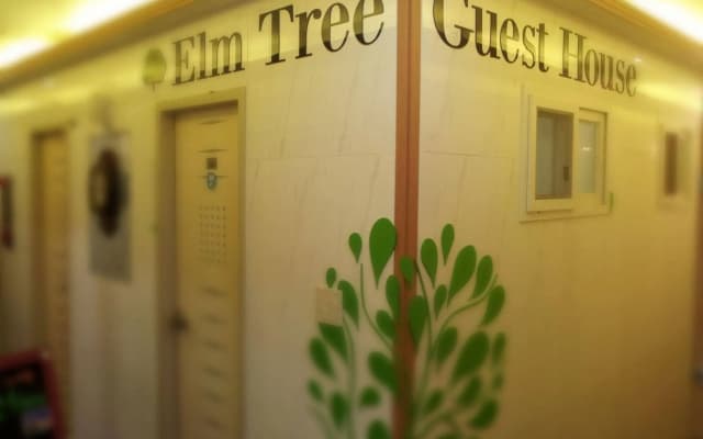 Elm Tree Guesthouse Myeongdong
