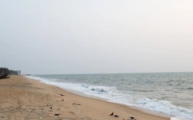 Kuzhuppilly Beach House