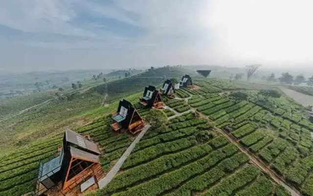Nimo Tea Resort