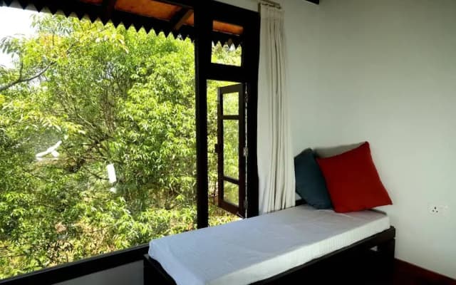 RedPanda Jungle Camp