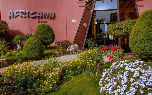 Africana Hotel Borg El Arab