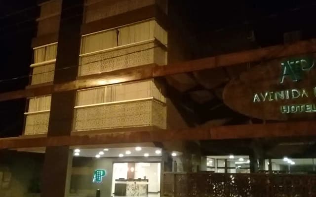 Avenida Park Hotel