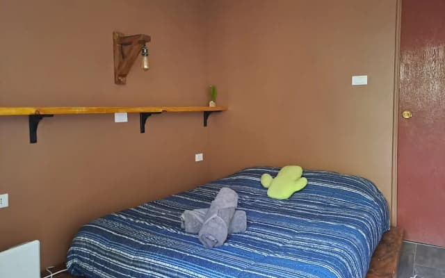 Vientos - La Yareta