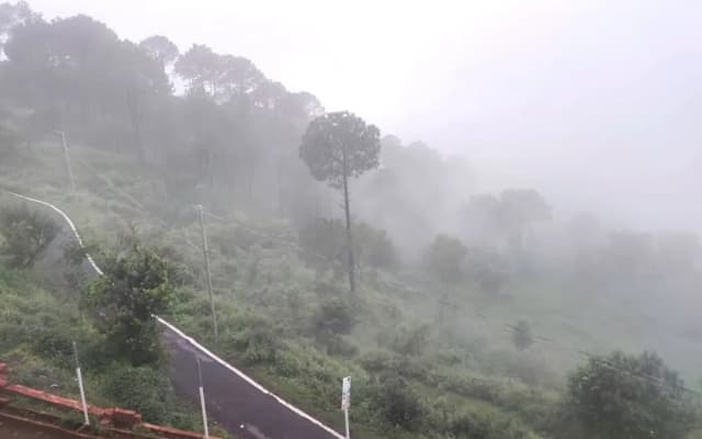 Jaitak Resort By Pine