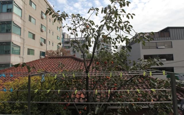 Hongdae Guesthouse - Hostel