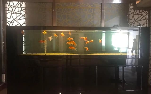 Shangyou Hotel