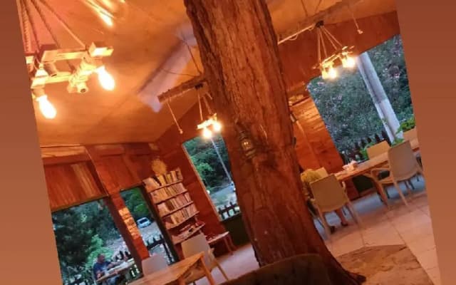 Canario Bungalows Pension