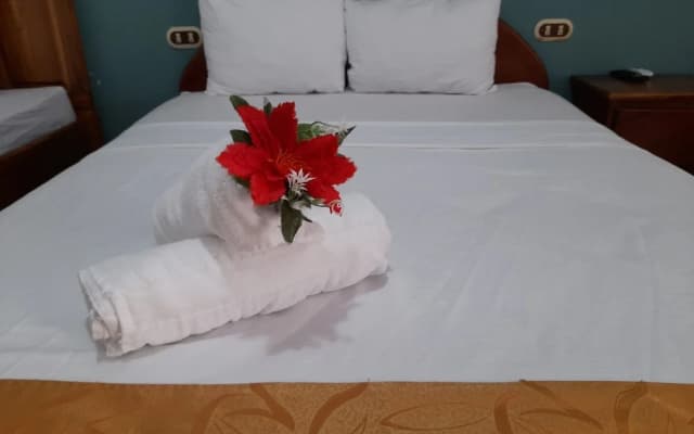 Arenal Poshpacker Boutique Urban Tropical Hotel
