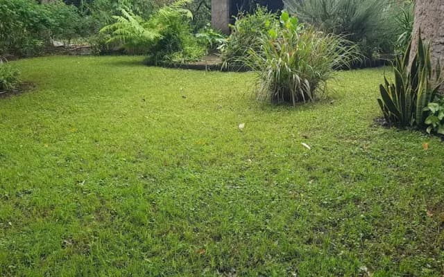 Tanzanin Eco Home & Camp