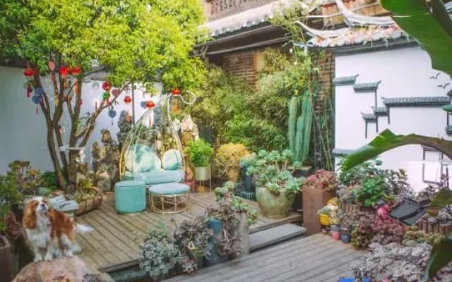 Floral Hotel· Yuebanwan | Coffee & Adorable Pets·Sunlit Golden Mountains·Designer Courtyard Hotel