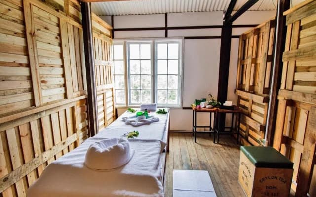 Tea & Experience Factory