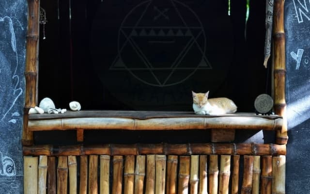 Dreamsea Glamping