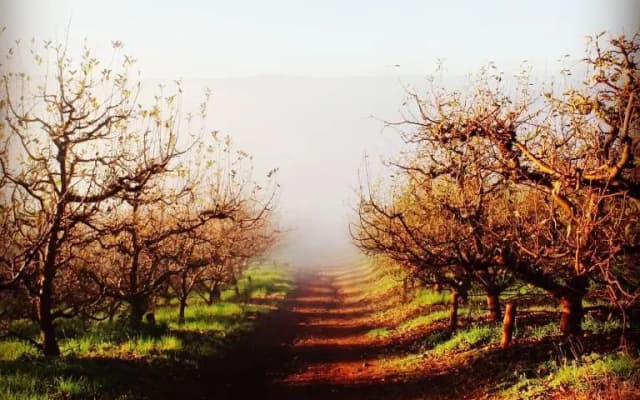 Cheverells Farm