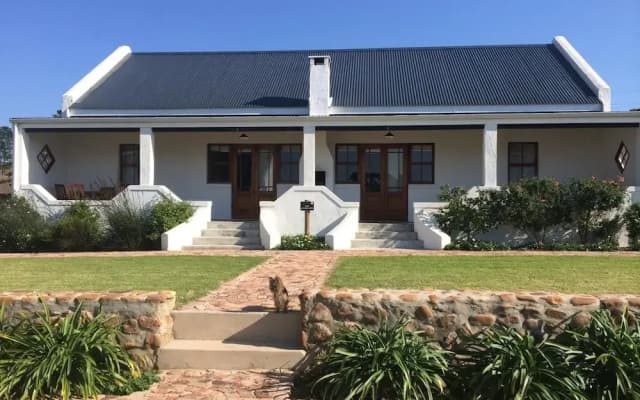 Endless Vineyards at Wildekrans Wine Estate