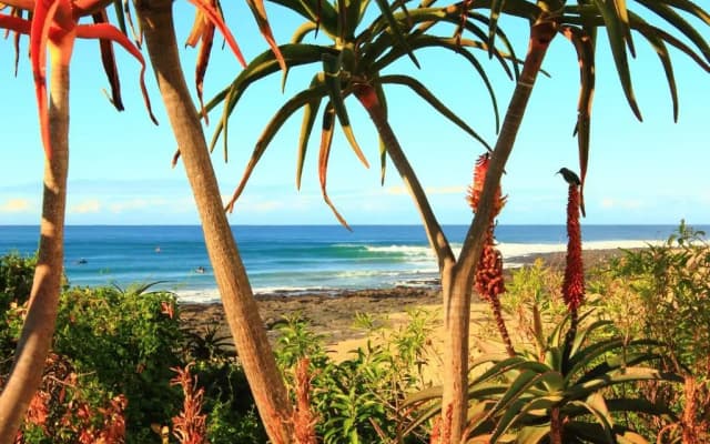Beach House